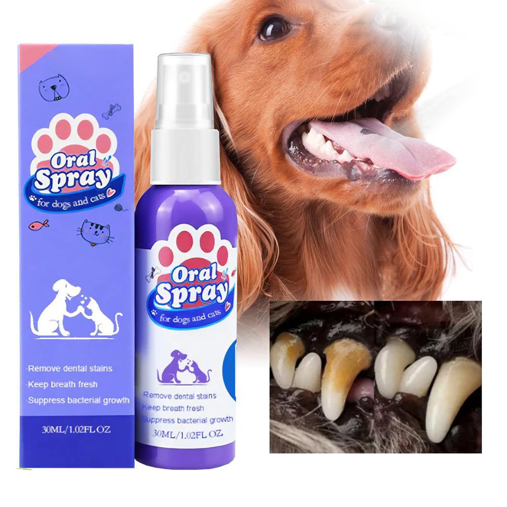 Pet Mouth Spray,Fresh Breath & - Teeth Whitening Mouthwash 评论和价格