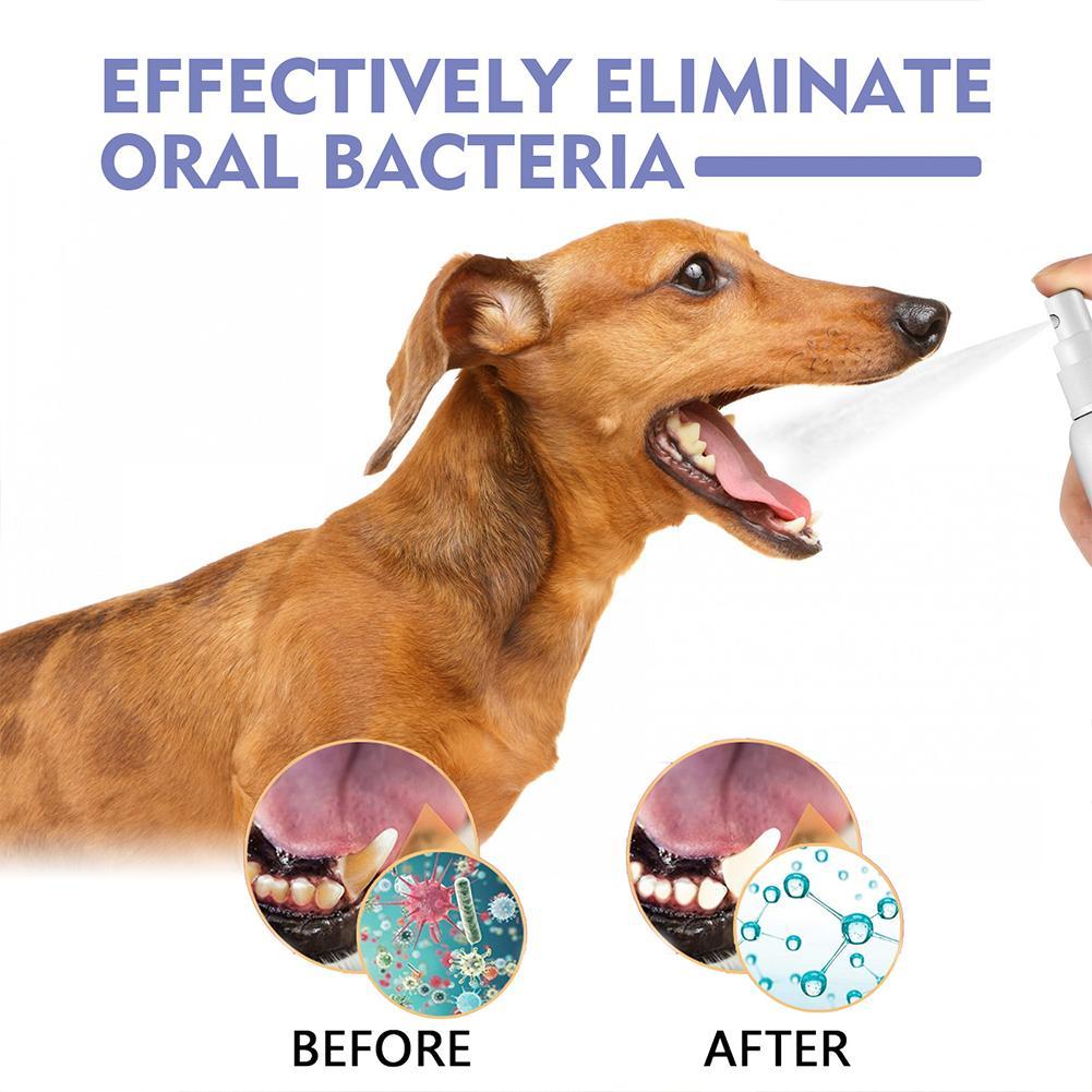 Pet Mouth Spray,Fresh Breath & - Teeth Whitening Mouthwash 评论和价格