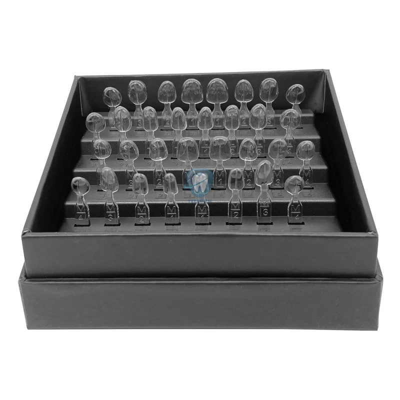 32pcs/Set Dental Veneer Mould  - Teeth Whitening Moulds 评论和价格